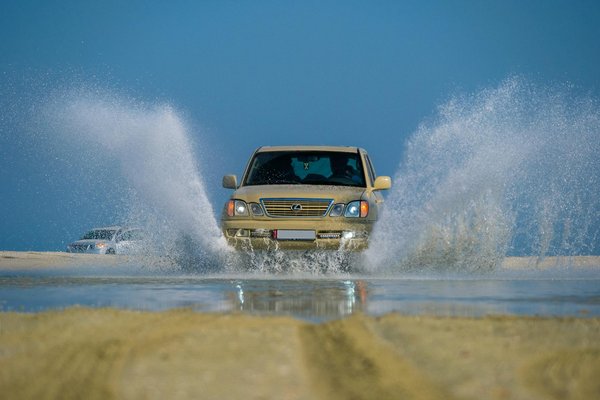Des applis incontournables pour les propriétaires de voitures vertes